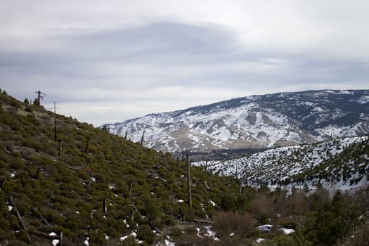 A logged side of a hill with snow mountains in the back