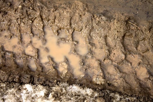 tire tracks in the mud