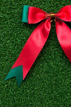 Red Bow on green grass