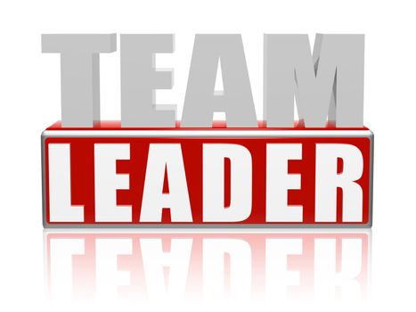 Team Leader � 3d text with red box