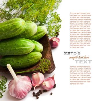 pickling cucumbers and spices isolated on white background