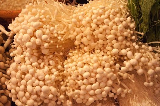 Mushrooms in the market