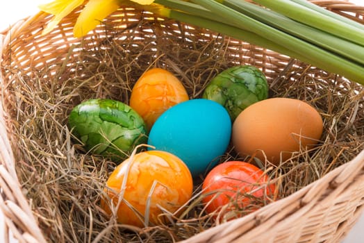 Coloured eggs