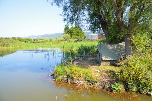 Small island with tree  on the pond in late summer