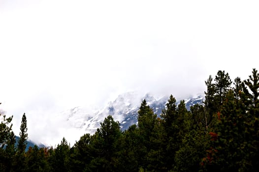 Colorado Mountains