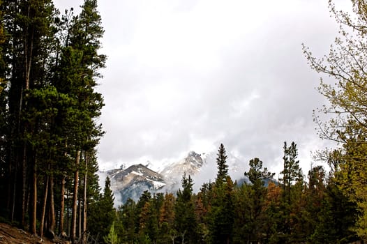 Colorado Mountains