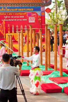 BANGKOK,/THAILAND-JANUARY 20:  lion dance dressing during parade in Chinese New Year Celebrations on January 20, 2013 in BANGKOK