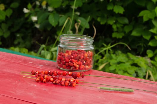 wild forest strawberries in pot and string on bent wisp on red table. healthy natural seasonal fruit food.