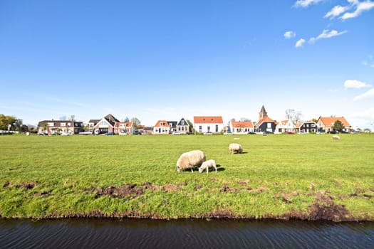 Spring in the countryside from the Netherlands
