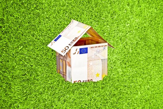 Little house from euro money in green grass