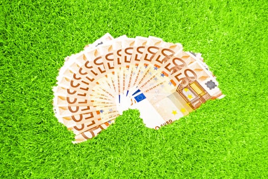 Fifty euro notes in green grass