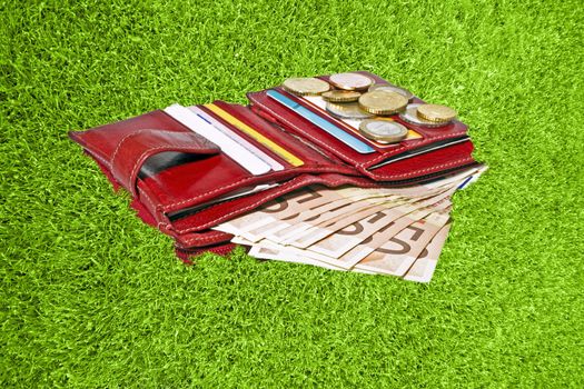 Red wallet with euro money and cards in green grass