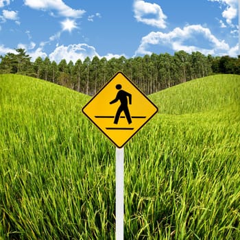 Crossroad sign with landscape background, Travel in countryside concept