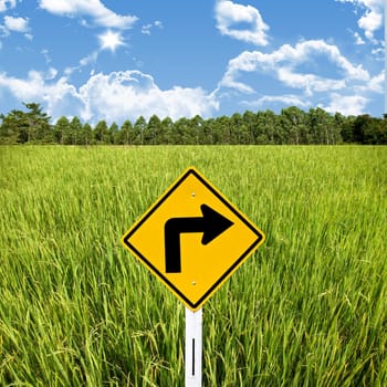 Turn right sign with rice field, Travel in countryside concept