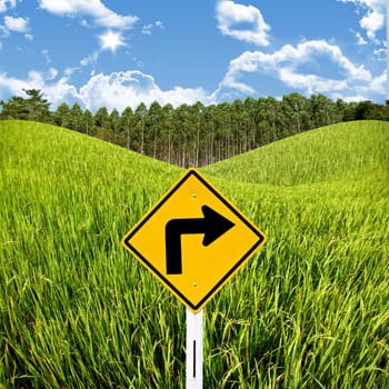 Travel in countryside concept, Turn right sign with rice field