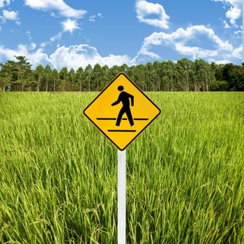Travel in countryside concept, Crossroad sign with rice field