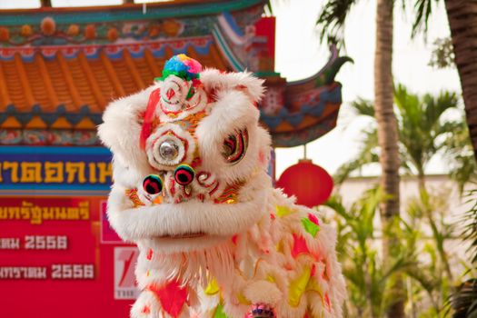 BANGKOK,/THAILAND-JANUARY 20:  lion dance dressing during parade in Chinese New Year Celebrations on January 20, 2013 in BANGKOK