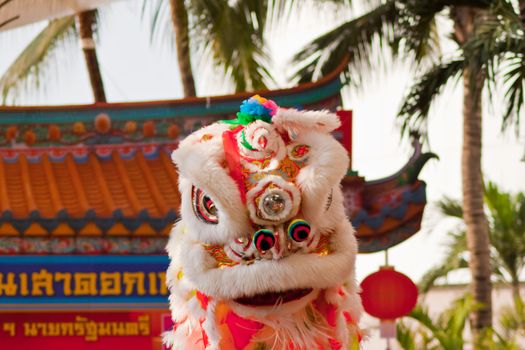 BANGKOK,/THAILAND-JANUARY 20:  lion dance dressing during parade in Chinese New Year Celebrations on January 20, 2013 in BANGKOK