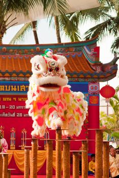 BANGKOK,/THAILAND-JANUARY 20:  lion dance dressing during parade in Chinese New Year Celebrations on January 20, 2013 in BANGKOK