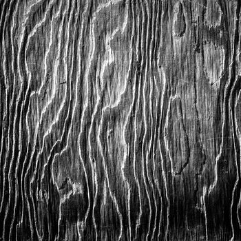 black and white artistic wood texture pattern