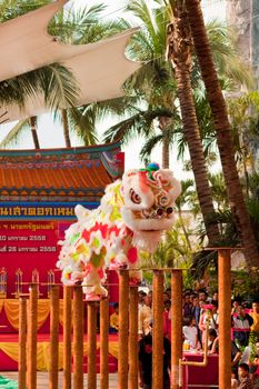BANGKOK,/THAILAND-JANUARY 20:  lion dance dressing during parade in Chinese New Year Celebrations on January 20, 2013 in BANGKOK