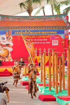 BANGKOK,/THAILAND-JANUARY 20:  lion dance dressing during parade in Chinese New Year Celebrations on January 20, 2013 in BANGKOK