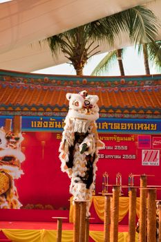 BANGKOK,/THAILAND-JANUARY 20:  lion dance dressing during parade in Chinese New Year Celebrations on January 20, 2013 in BANGKOK