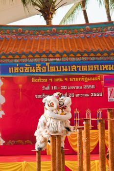 BANGKOK,/THAILAND-JANUARY 20:  lion dance dressing during parade in Chinese New Year Celebrations on January 20, 2013 in BANGKOK
