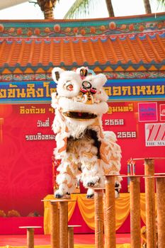 BANGKOK,/THAILAND-JANUARY 20:  lion dance dressing during parade in Chinese New Year Celebrations on January 20, 2013 in BANGKOK