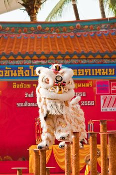 BANGKOK,/THAILAND-JANUARY 20:  lion dance dressing during parade in Chinese New Year Celebrations on January 20, 2013 in BANGKOK