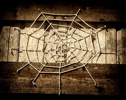 Artistic and conseptual spider web.