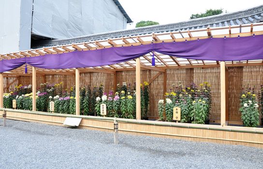 Flower Garden at Nijo Castle in Kyoto, Japan