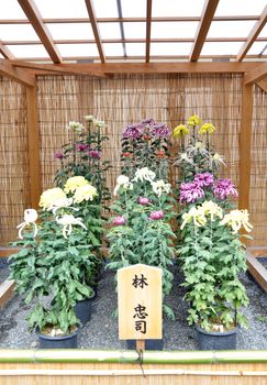 Flower Garden at Nijo Castle in Kyoto, Japan