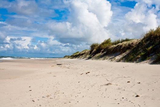 Baltic sea near Curonian Spit
