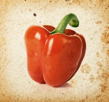 Pepper (paprika) on grunge paper background. Retro style
