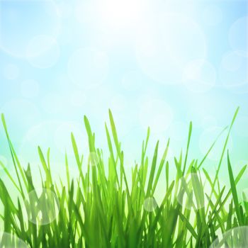 Spring abstract nature background with sun effect and bokeh. Green grass with blue sky