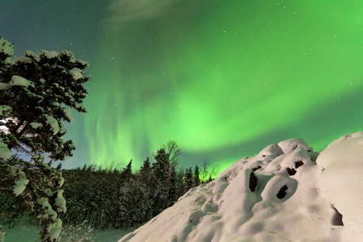 Spectacular display of intense Northern Lights or Aurora borealis or polar lights forming green swirls over frozen Lake Laberge  Yukon Territory  Canada winter landscape