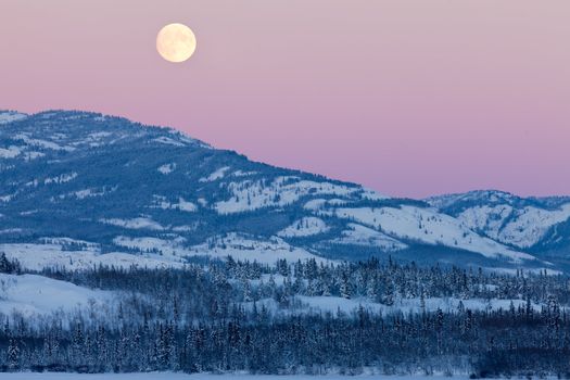 Scenic winter mountain landscape of the Yukon Territory  Canada  with full moon rising in pink cloudless sky