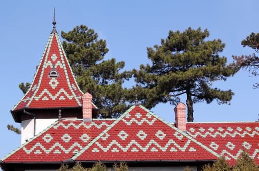 castle colorful tiles roof architecture detail