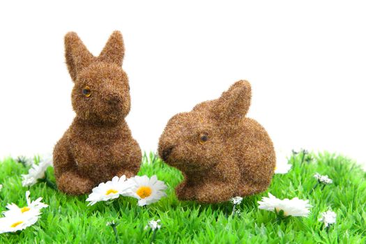 two brown bunny on grass with little white daisy over white background