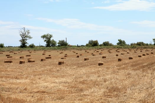 Hay on field in france