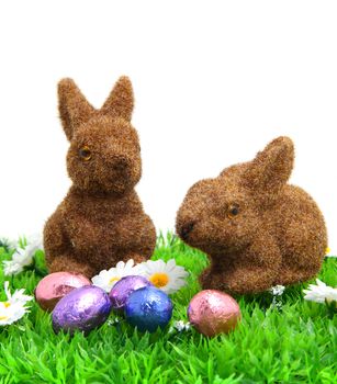 two brown bunny on grass with easter eggs over white background