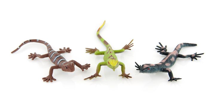 three plastic salamander toys isolated on white background