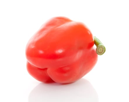 one fresh red paprika over white background