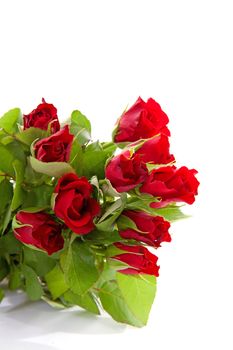 Bouquet of red roses in closeup over white background 

