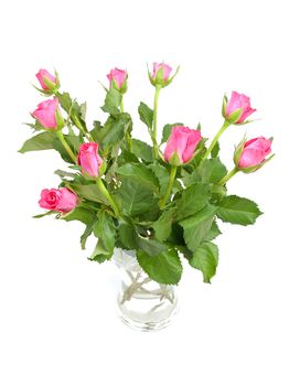 Bouquet of pink roses in vase over white background