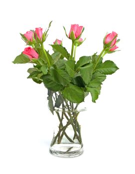 Bouquet of pink roses in glass vase over white background