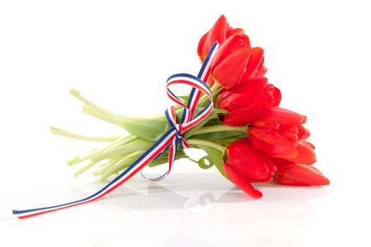 Bouquet of red tulips with ribbon over white background