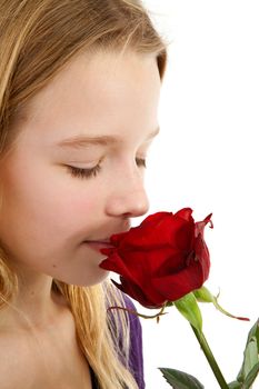 young girl smelling a red rose in closeup over white background