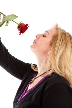 woman smelling a red rose in closeup over white background
